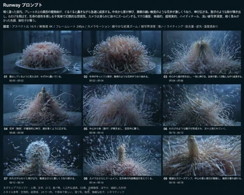 映像編集タイムライン